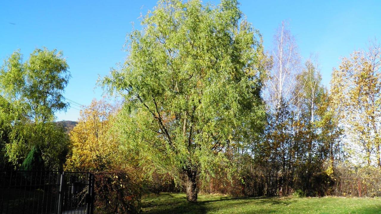 Podelniska Porąbka Buitenkant foto